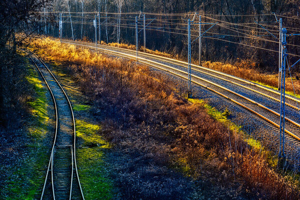 Railway Tracks in the Forest at Sunset Picture Board by Artur Bogacki