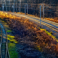 Buy canvas prints of Railway Tracks in the Forest at Sunset by Artur Bogacki