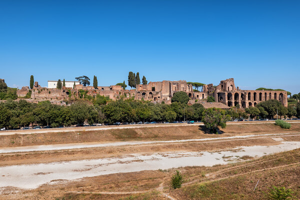 Circus Maximus and Palatine Hill in Rome Picture Board by Artur Bogacki