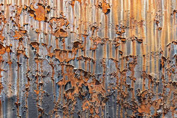 Rusty Metal Background With Peeling Paint Picture Board by Artur Bogacki