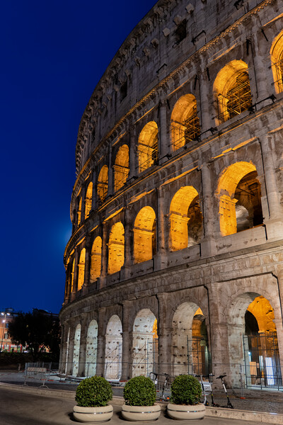 The Colosseum by Night in Rome Picture Board by Artur Bogacki
