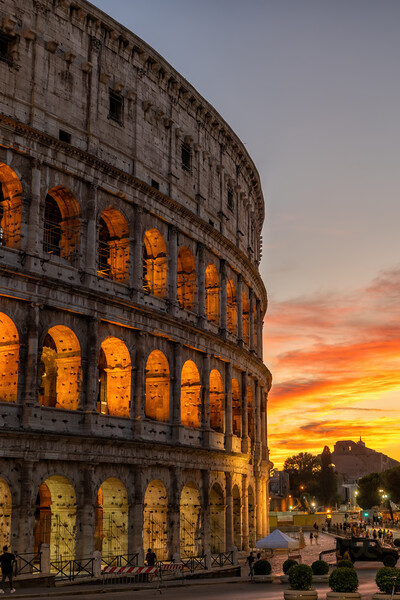Colosseum in Rome at Sunset Picture Board by Artur Bogacki