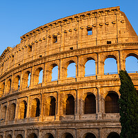 Buy canvas prints of Sunset at the Colosseum in Rome by Artur Bogacki