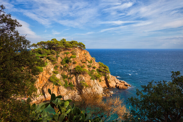 Costa Brava Scenic Sea Coast In Spain Picture Board by Artur Bogacki