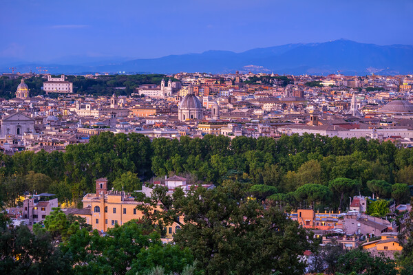 City of Rome Cityscape at Dusk Picture Board by Artur Bogacki