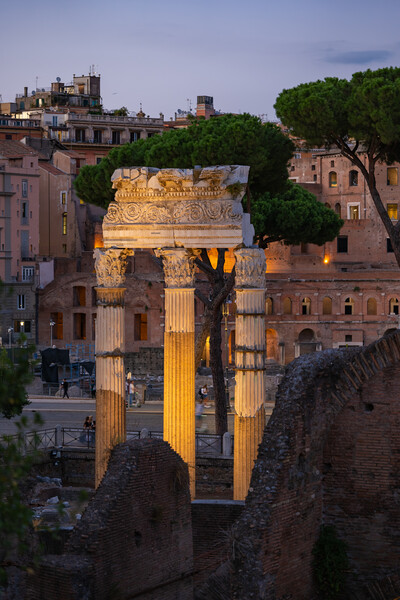 Temple of Venus Genetrix at Dusk in Rome Picture Board by Artur Bogacki