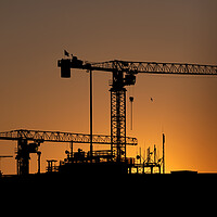 Buy canvas prints of Cranes Silhouette Against Sunset Sky by Artur Bogacki