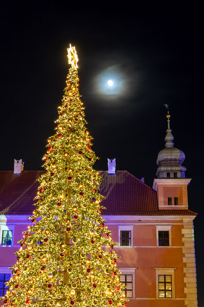 Christmas Tree, Castle And The Moon Picture Board by Artur Bogacki