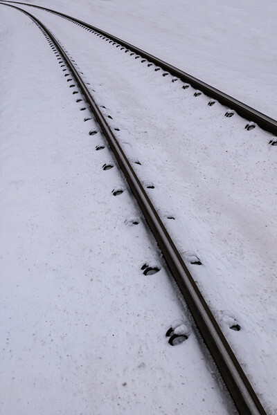 Railway Tracks In Snow Picture Board by Artur Bogacki