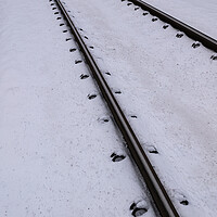 Buy canvas prints of Railway Tracks In Snow by Artur Bogacki