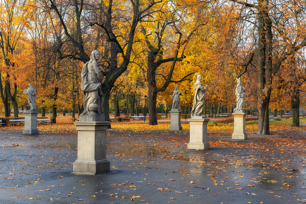 Autumn In Saxon Garden In Warsaw Picture Board by Artur Bogacki