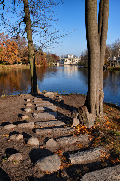 Steps To The Lake In Lazienki Park In Warsaw Picture Board by Artur Bogacki