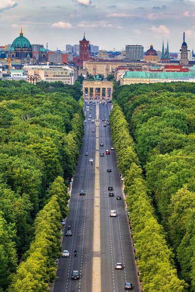 Berlin Skyline With Tiergarten Park Picture Board by Artur Bogacki