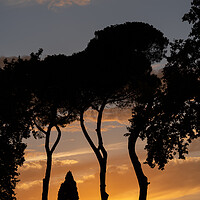 Buy canvas prints of Trees Silhouette At Sunset by Artur Bogacki