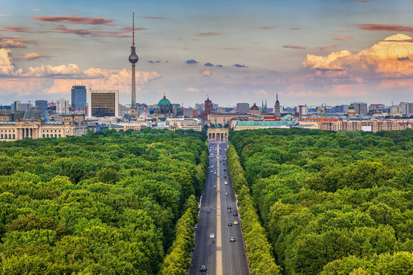 Berlin Skyline Above Tiergarten Picture Board by Artur Bogacki