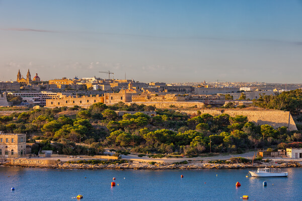 Manoel Island At Sunset In Malta Picture Board by Artur Bogacki