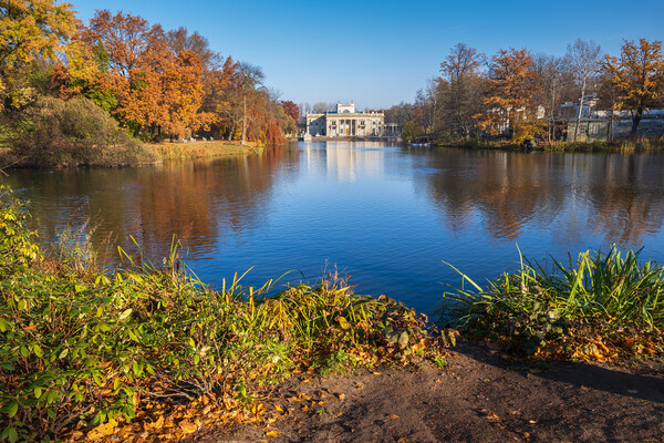 Autumn In Royal Lazienki Park In Warsaw Picture Board by Artur Bogacki