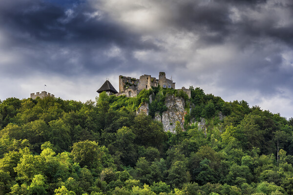 Celje Castle In Slovenia Picture Board by Artur Bogacki