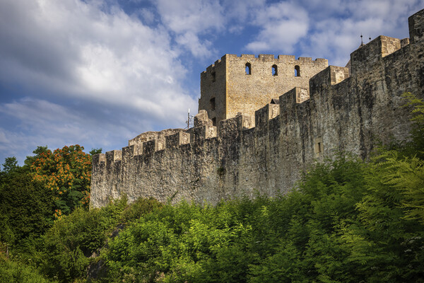 Celje Castle Stone Wall Picture Board by Artur Bogacki