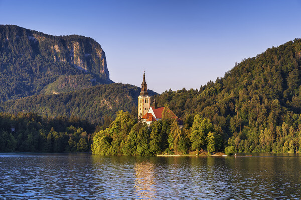 Lake Bled and Bled Island at Sunrise in Slovenia Picture Board by Artur Bogacki
