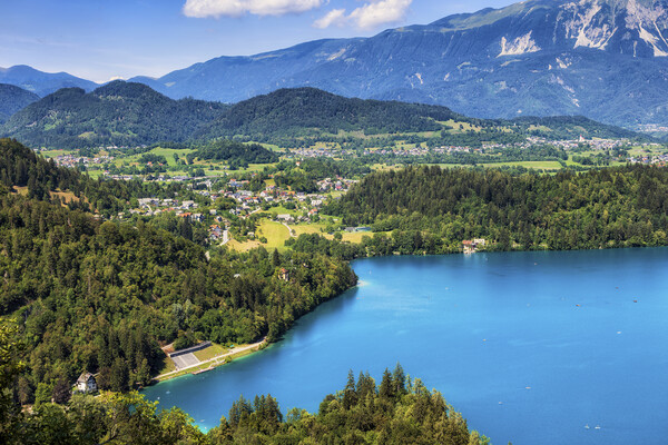 Upper Carniola Landscape With Lake Bled In Slovenia Picture Board by Artur Bogacki