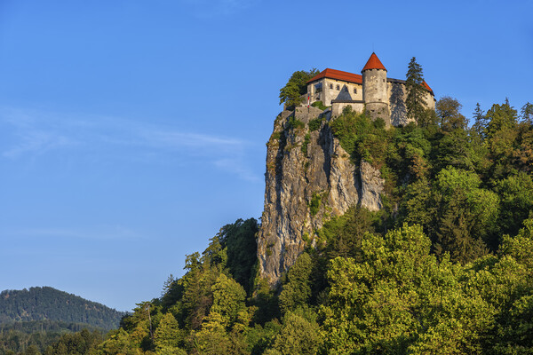 Medieval Bled Castle On Rock Picture Board by Artur Bogacki
