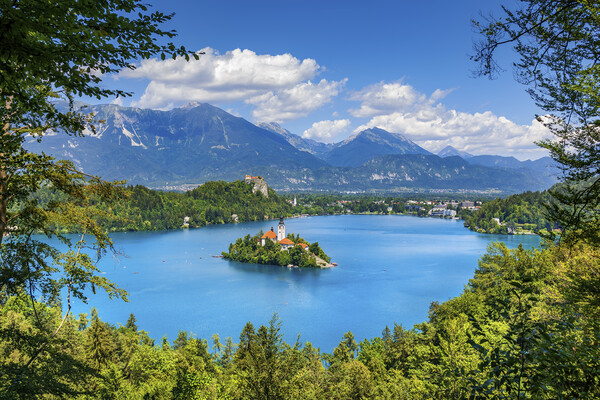 Lake Bled Landscape With And Island In Slovenia Picture Board by Artur Bogacki
