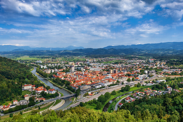 City of Celje in Slovenia Picture Board by Artur Bogacki