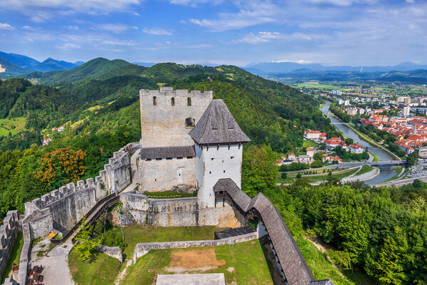 Celje Castle And City In Slovenia Picture Board by Artur Bogacki