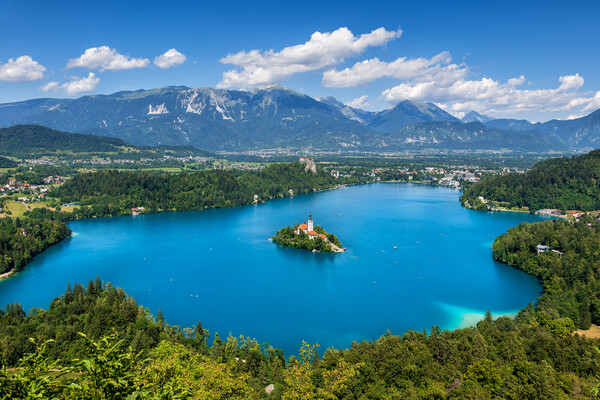 Lake Bled Landscape In Slovenia Picture Board by Artur Bogacki