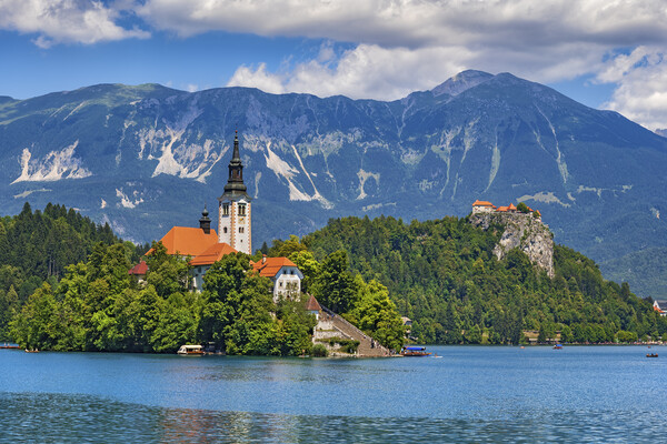 Lake Bled Landscape With Island And Castle Picture Board by Artur Bogacki