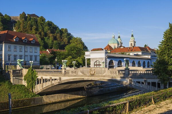 The Dragon Bridge In Ljubljana Picture Board by Artur Bogacki