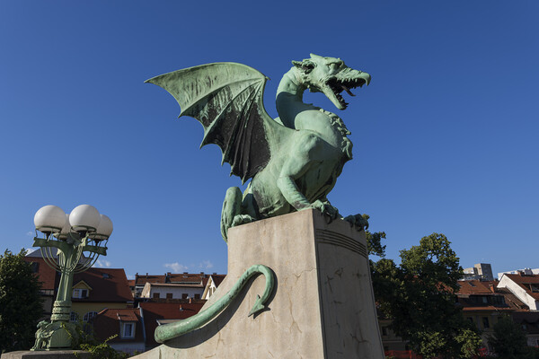 Dragon Statue In Ljubljana Picture Board by Artur Bogacki