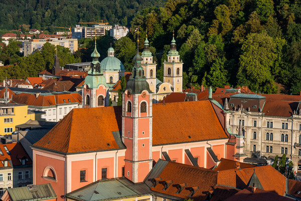 Churches of Ljubljana Picture Board by Artur Bogacki