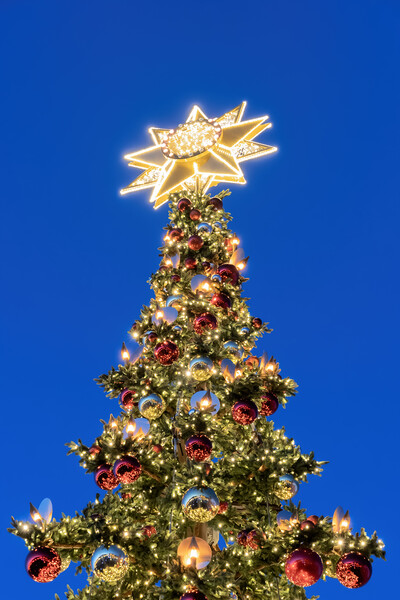 Christmas Tree With Bethlehem Star At Night Picture Board by Artur Bogacki