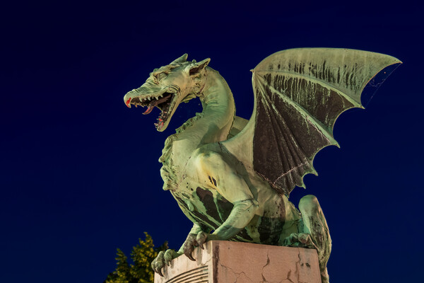Dragon Statue At Night In Ljubljana Picture Board by Artur Bogacki