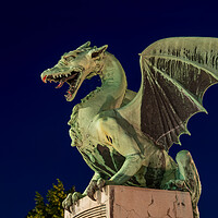 Buy canvas prints of Dragon Statue At Night In Ljubljana by Artur Bogacki