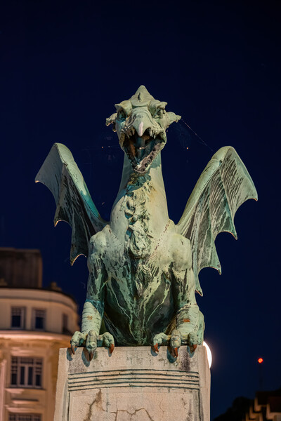 Dragon At Night In Ljubljana Picture Board by Artur Bogacki