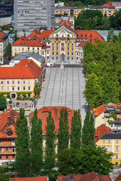 Congress Square In City Of Ljubljana Picture Board by Artur Bogacki