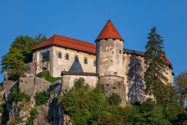 The Bled Castle In Slovenia Picture Board by Artur Bogacki