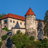 Buy canvas prints of The Bled Castle In Slovenia by Artur Bogacki