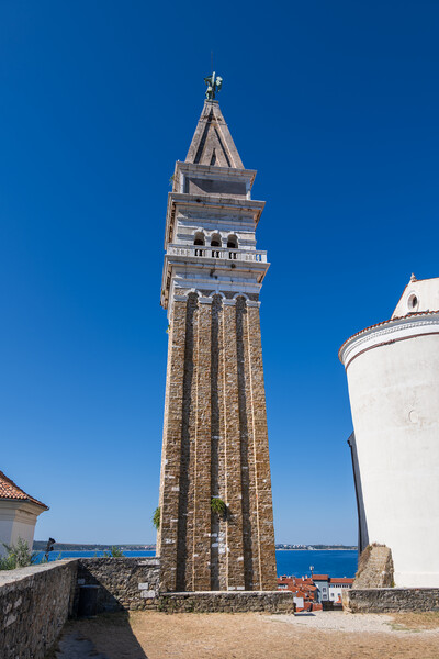 Bell Tower Of St George Church In Piran Picture Board by Artur Bogacki