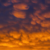 Buy canvas prints of Altocumulus Clouds In Sunset Sky Cloudscape by Artur Bogacki