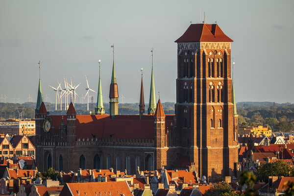 St Mary Basilica At Sunset In Gdansk Picture Board by Artur Bogacki