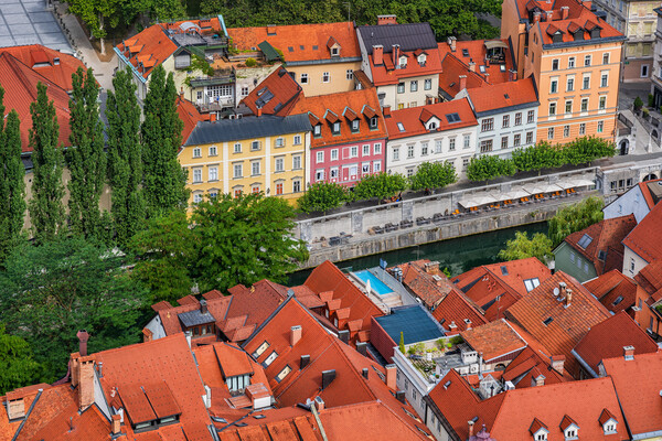 Red Tiled Houses Of Ljubljana From Above Picture Board by Artur Bogacki