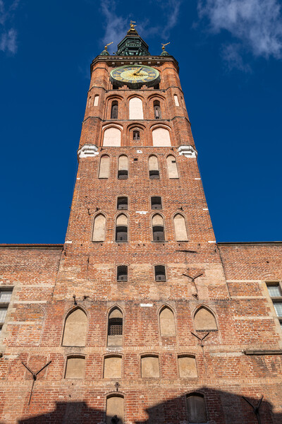 Main Town Hall Tower In Gdansk Picture Board by Artur Bogacki