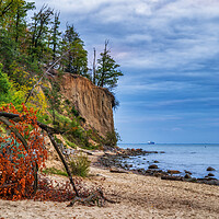 Buy canvas prints of Orlowo Cliff And Beach At Baltic Sea In Gdynia by Artur Bogacki