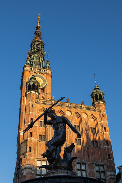 Neptune Fountain And Town Hall In Gdansk Picture Board by Artur Bogacki