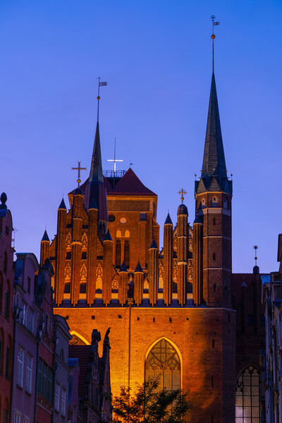 Gothic St Mary Basilica In Gdansk At Dusk Picture Board by Artur Bogacki