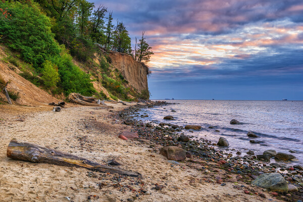 Baltic Sea Beach And Cliff At Dawn In Gdynia Picture Board by Artur Bogacki